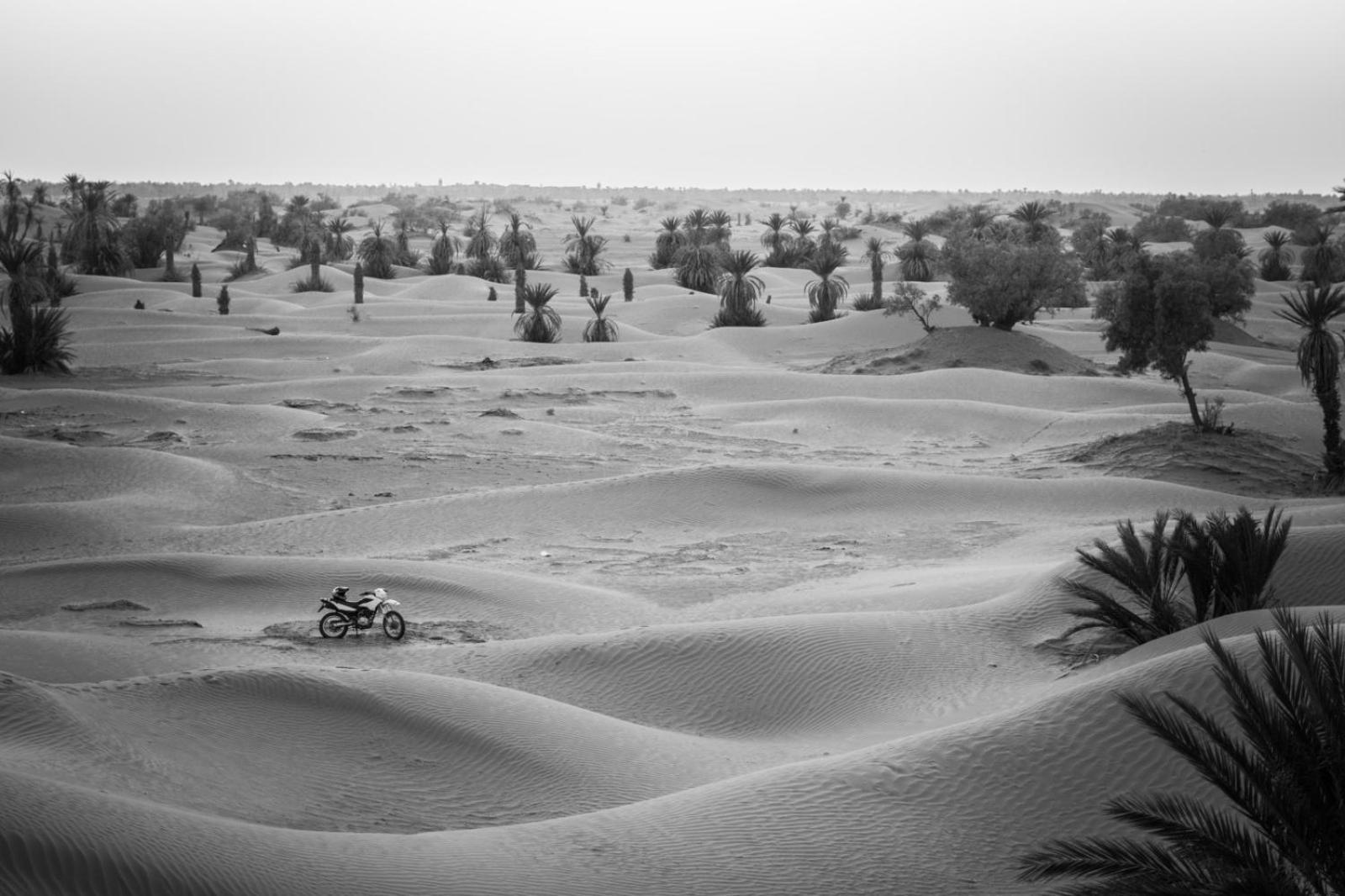 La Maison-Berbere Mhamid ภายนอก รูปภาพ