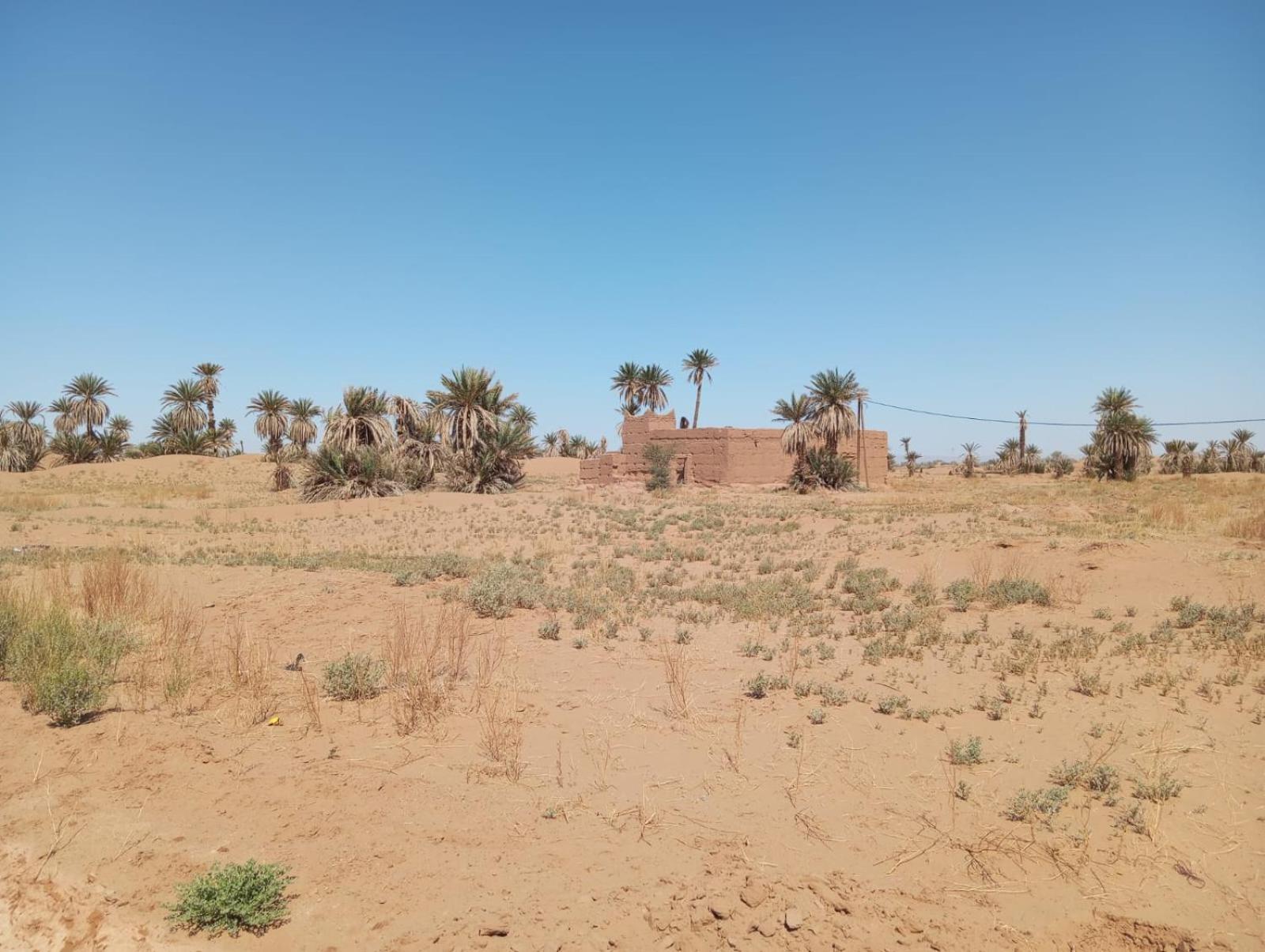 La Maison-Berbere Mhamid มามิด ภายนอก รูปภาพ