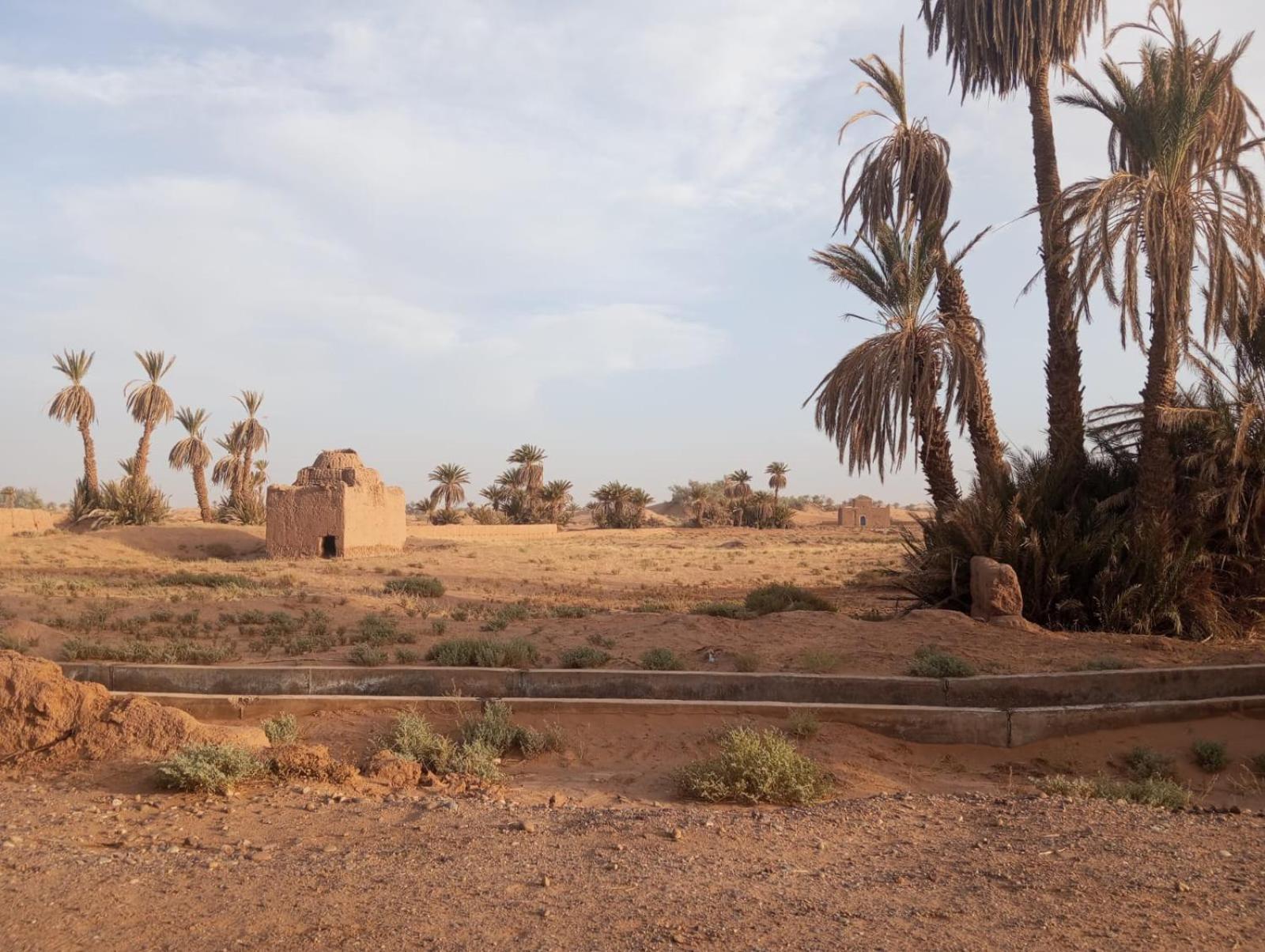 La Maison-Berbere Mhamid มามิด ภายนอก รูปภาพ