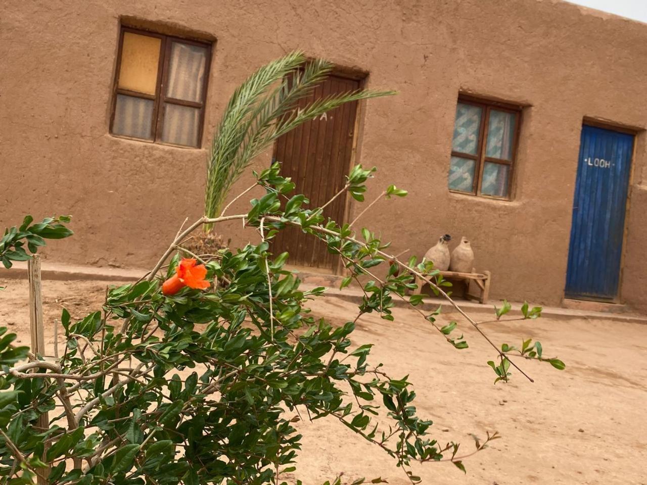 La Maison-Berbere Mhamid มามิด ภายนอก รูปภาพ
