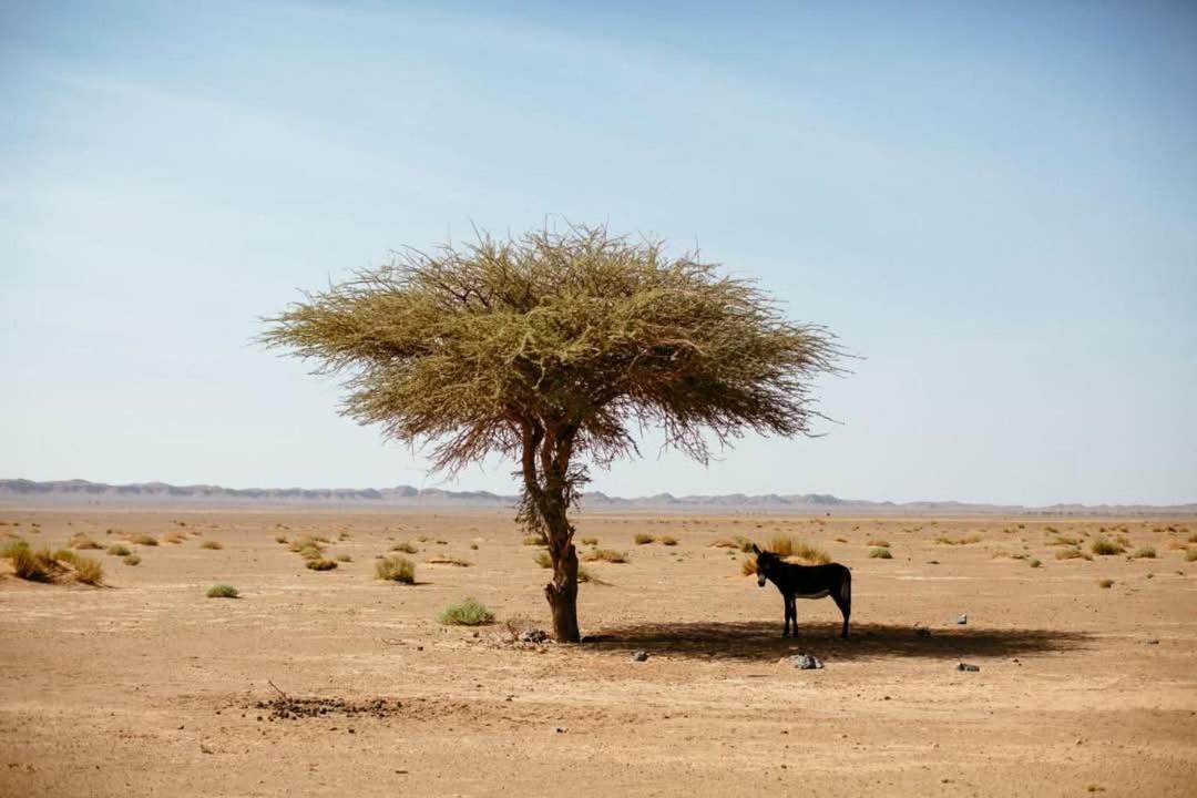 La Maison-Berbere Mhamid ภายนอก รูปภาพ